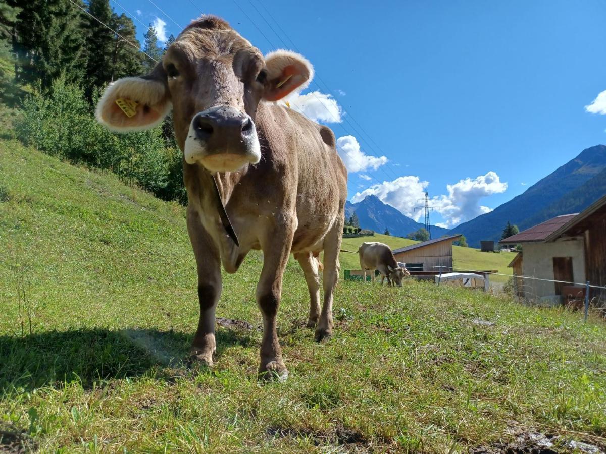 Gsoerhof Daire Sankt Anton am Arlberg Dış mekan fotoğraf