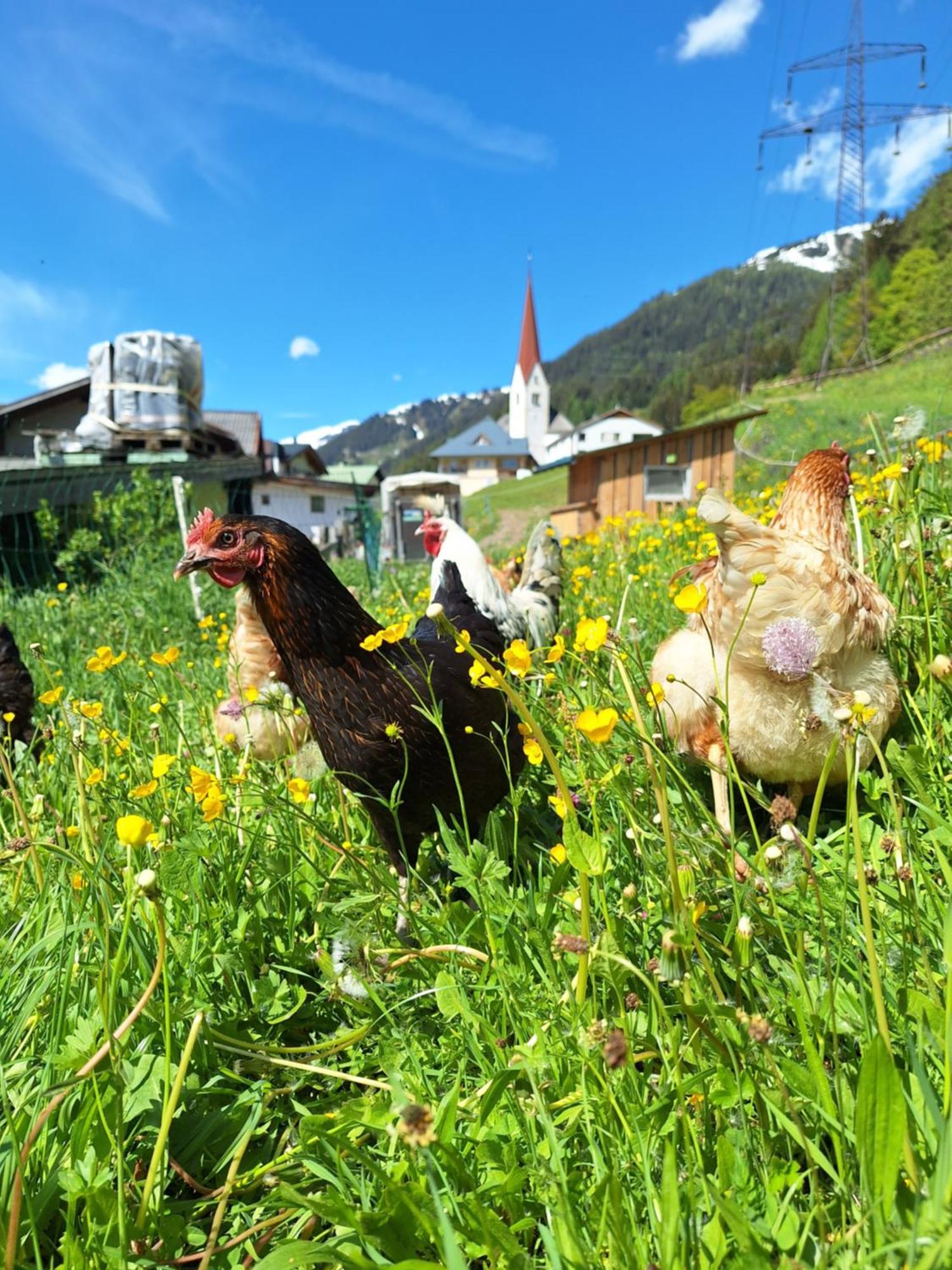 Gsoerhof Daire Sankt Anton am Arlberg Dış mekan fotoğraf