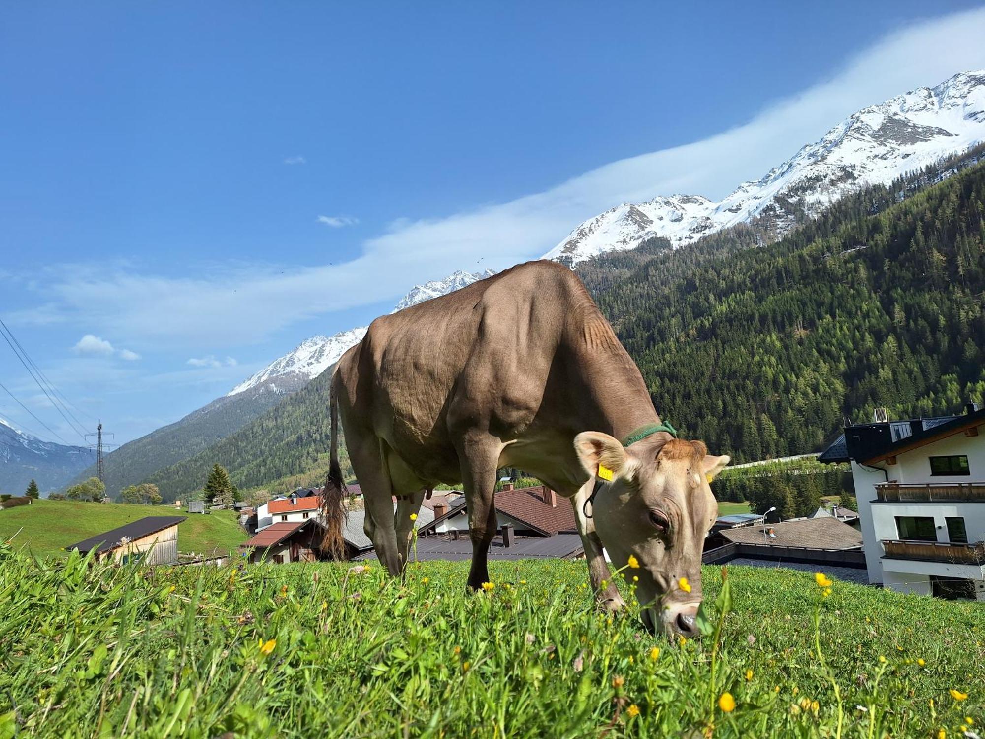 Gsoerhof Daire Sankt Anton am Arlberg Dış mekan fotoğraf